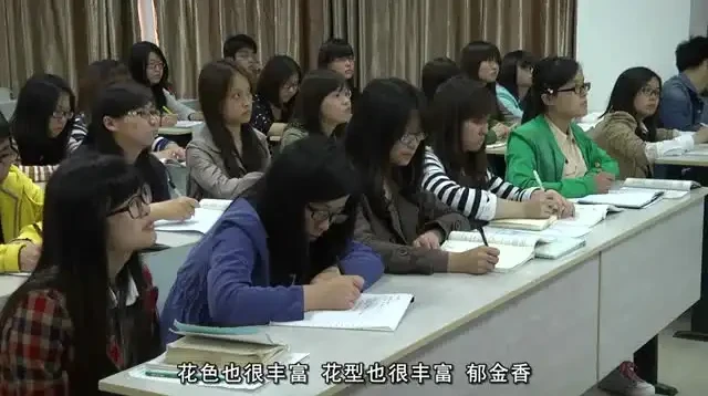 6节花艺课程：从入门到精通，开启诗意生活