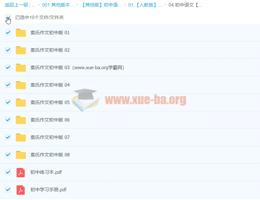 袁氏作文初中版：初中语文作文写作课程
