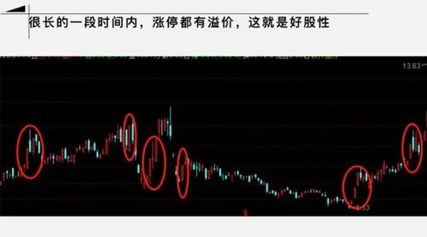 大柚子笔记：2024年4月大柚子盘面深度学柚儿园专属解读