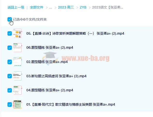 2023高考语文张亚柔a+一轮复习暑假班与秋季班（更新6讲）