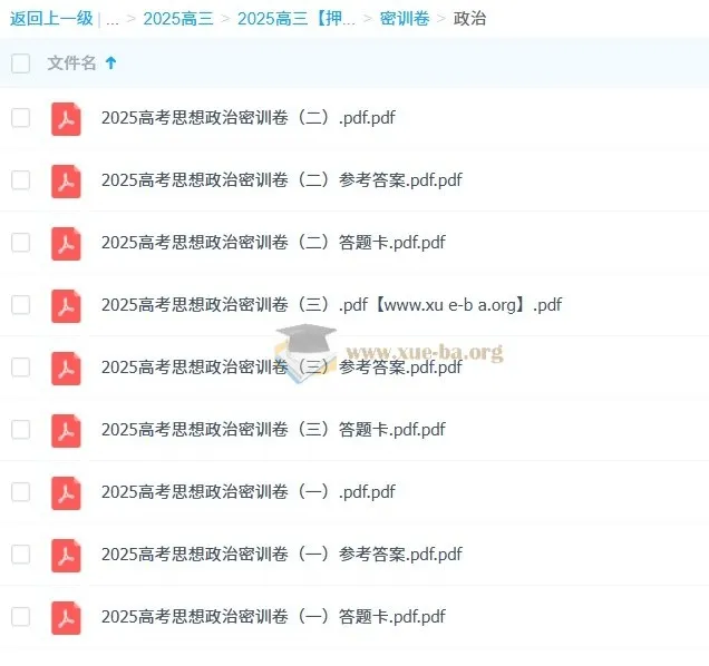 2025年高考思想政治密训卷