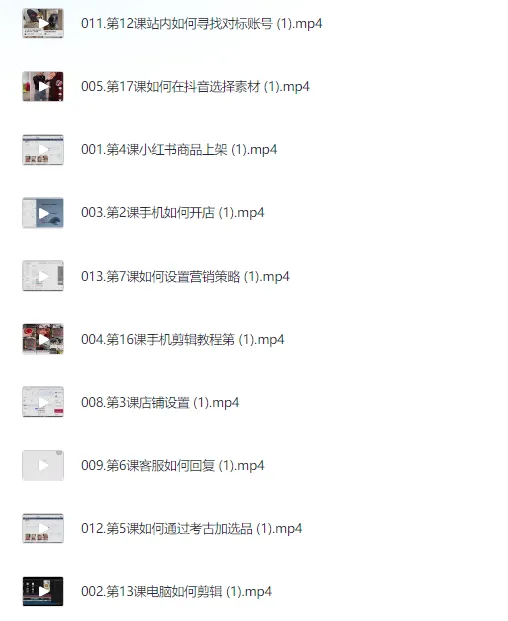 小红书电商实操课：0基础入门，掌握平台玩法与人群属性