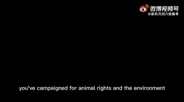 2015 - 2023年英语四六级真题解析全集：高效备考宝典