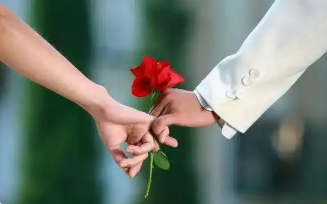 撩妹搭讪特训营：恋爱聊天PUA专项付费课程合集