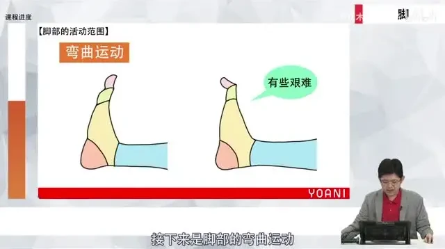 代代木动画学院零基础角色绘画课程：初学者速成指南