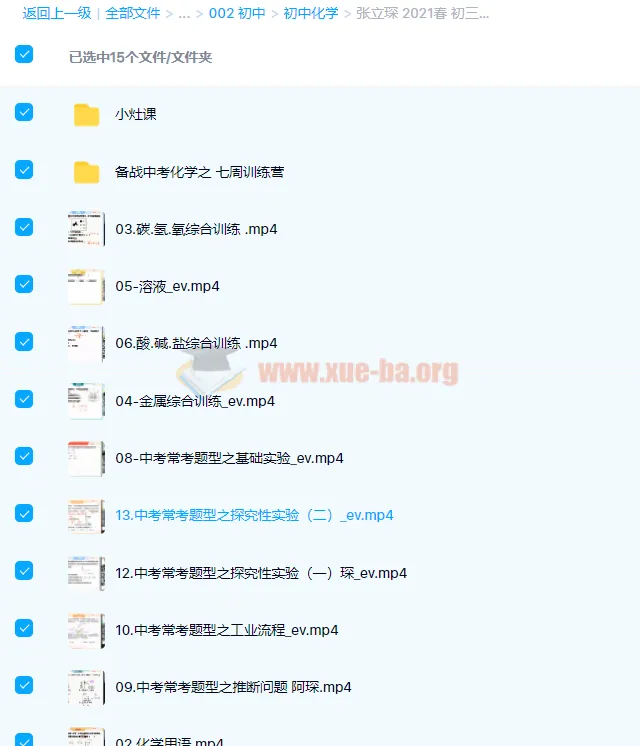 张立琛2021春初三化学春季系统班13讲课程及讲义