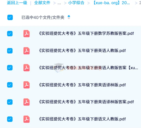 2024 春《实验班提优大考卷》:多学科同步练习资料