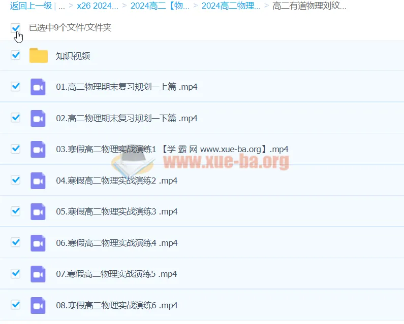 2024高二物理刘纹岩寒假班（下学期）