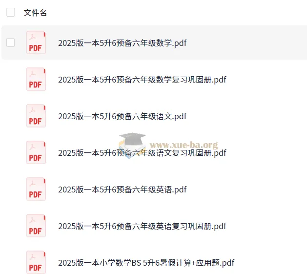 2025一本暑假预习预备：新五年级和六年级学习资料