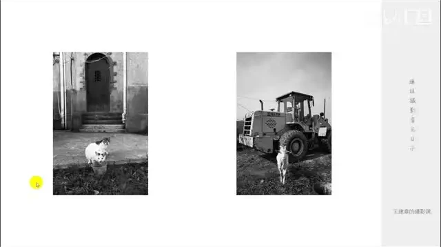 王建章摄影课：从基础到高级，全面提升摄影技能