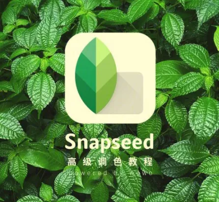 Snapseed从入门到精通：手机修图高手速成课程