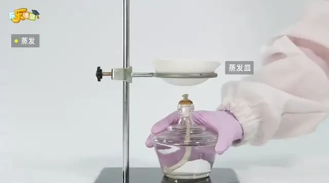乐乐课堂全学科学习资源：涵盖小学到高中，含国学与科学实验