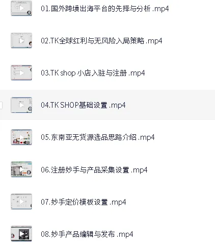 TikTokShop跨境电商0-1实战课程：手把手教你低成本启动海外市场