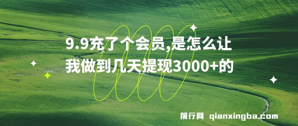 9.9 充会员实现几天提现 3000+项目介绍