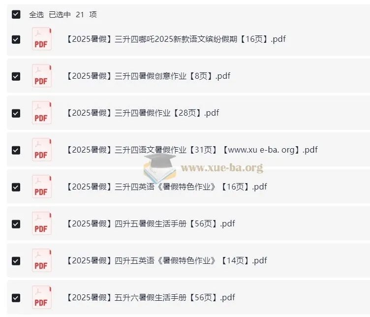 2025 暑假小学特色作业资料包