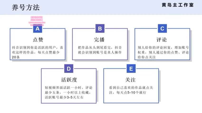 抖音王者荣耀游戏变现副业兼职：一条龙实操课程
