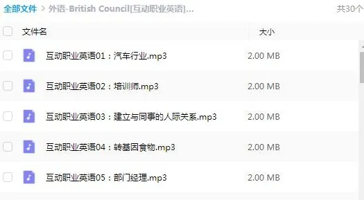 有声书《British Council 互动职业英语》全30集（Joyce 演播）