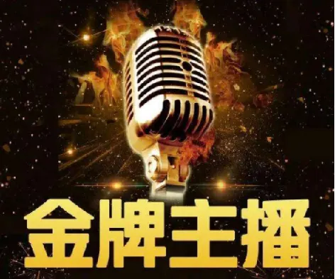 2025进阶金牌主播:摸清算法逻辑课程