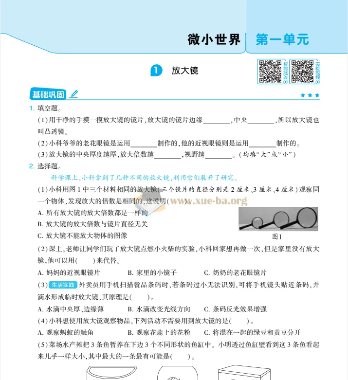 25秋4星学霸提高班小学科学(教科版3 - 6年级)