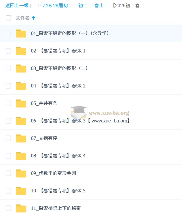 2026初二春上王丁玉数理思维自主学习·SK(三期)初中数学课程