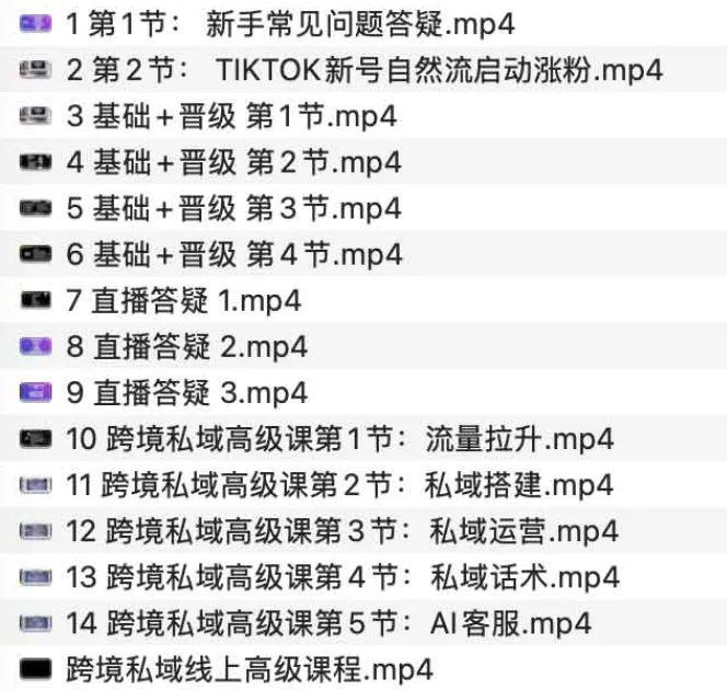 跨境私域极速成交线上高级课程:全面掌握私域运营与成交逻辑