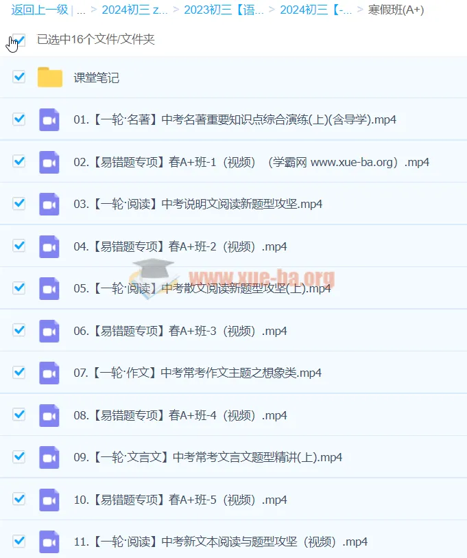 杨荷2024初三中考语文A+寒假班（春上）课程