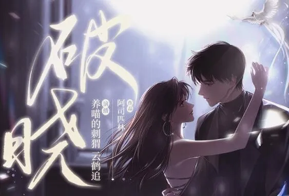 有声小说《破晓》:阿司匹林新作,养喵的刺猬倾情播音(97集完结)