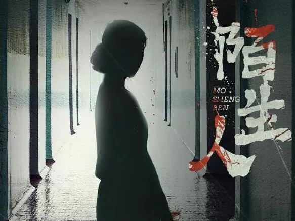 有声小说《陌生人》:陈研一首部女性悬疑力作,53集完结