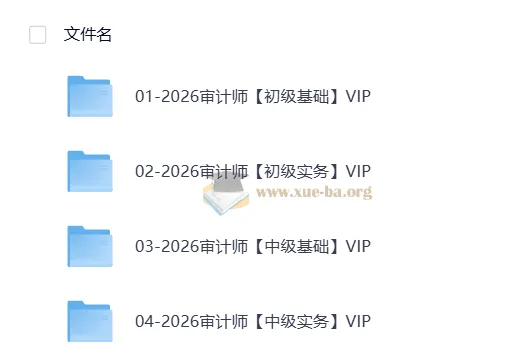 2026初中级审计师备考全攻略：双名师精讲+历年真题解析