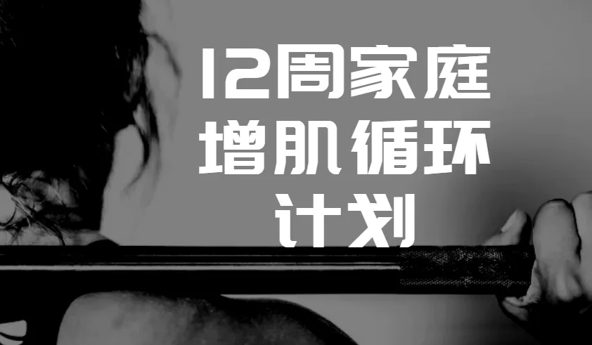 卓叔增重:12周家庭增肌循环计划【完结视频课程】