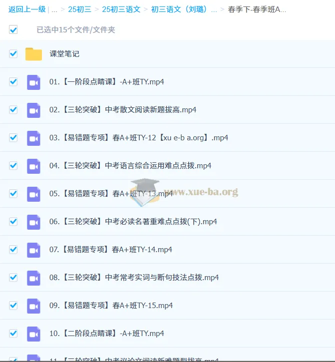 初三中考语文刘璐2024-2025 A+班 秋季/寒假/春季班全阶段课程