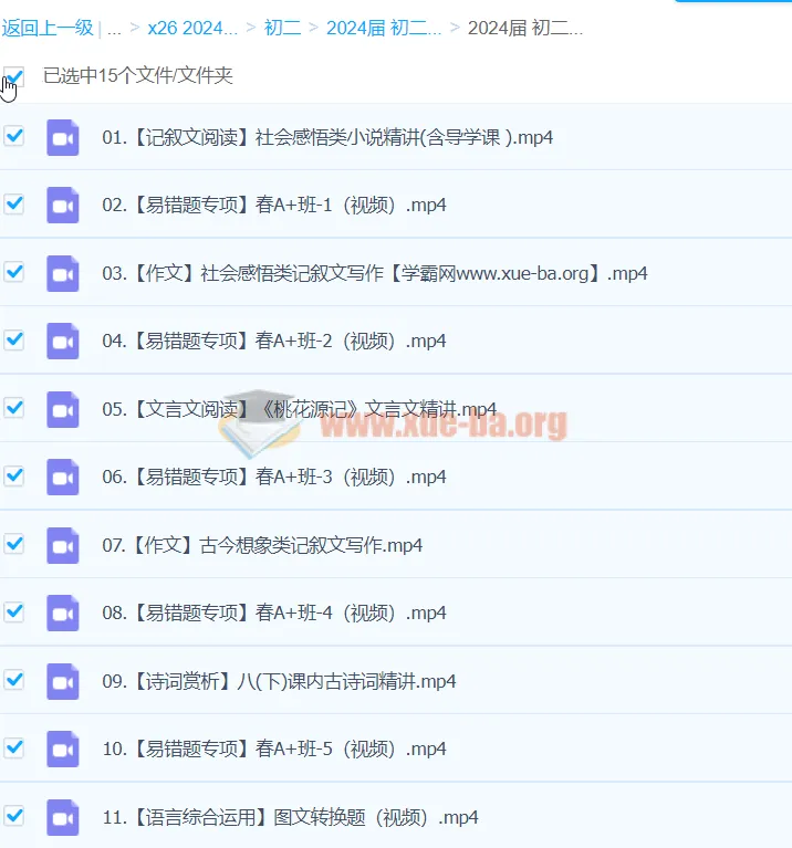 2024初二语文 柳宁语文 A+寒假班(春上)系统课程