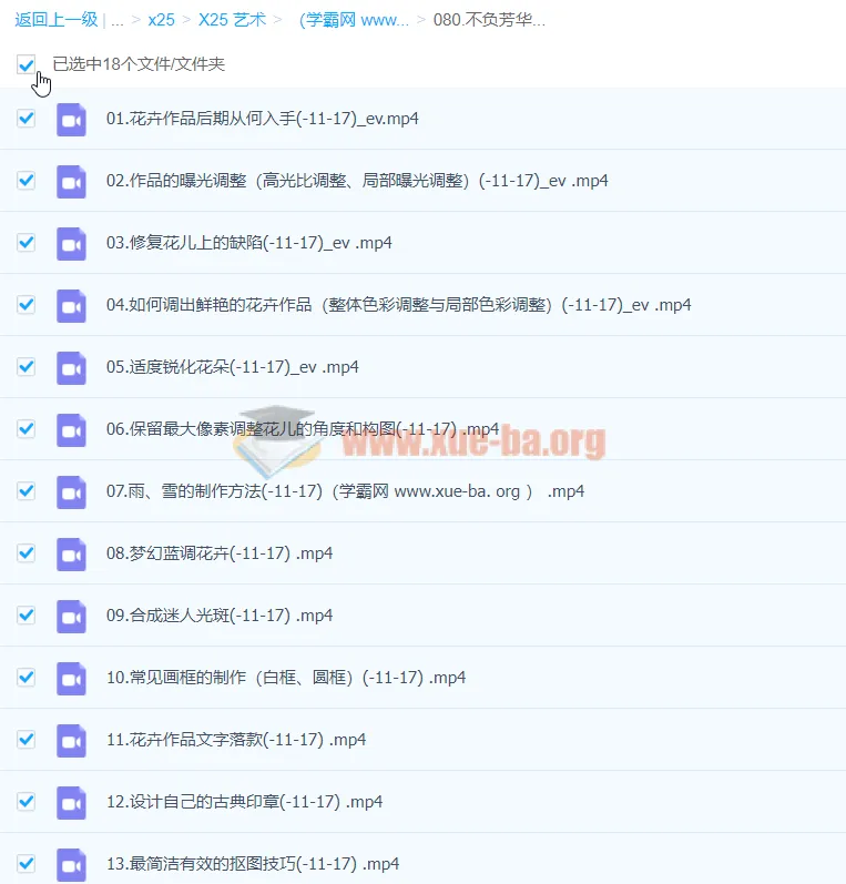 花卉摄影后期技法完全宝典:从基础到创意,葛宏军带你玩转花卉后期