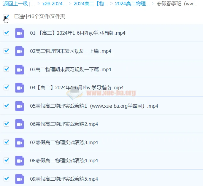 2024高二物理李琳寒假春季班课程合集