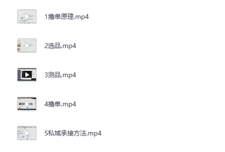 拼多多虚拟撸单项目:从选品到私域承接的实战转化指南