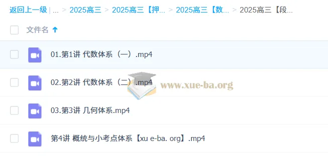段俊逸2025高三高考数学点睛班 核心考点精讲