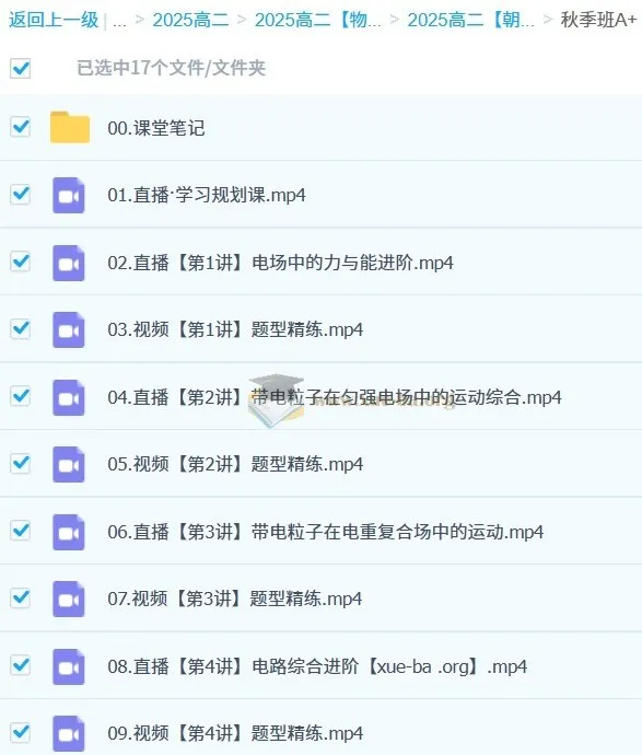 朝鲜阳高二物理A+秋季班(2024-2025学年)系统课程