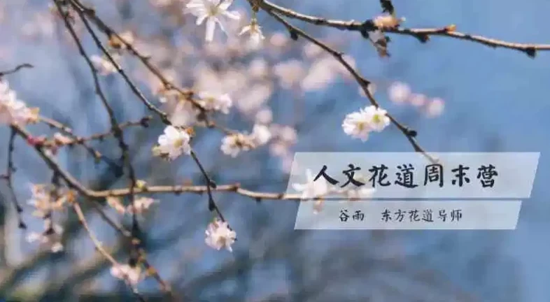 人文花道美学营:跟随谷雨老师,在插花中寻回内心的宁静