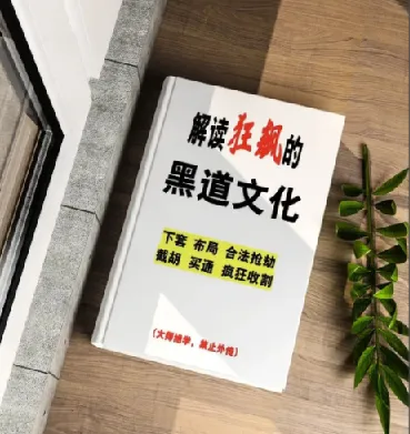 解读《狂飙》中的黑道文化：生存法则与权力逻辑深度解析