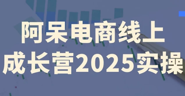 阿呆电商线上成长营2025实操课程