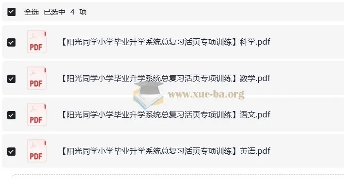 阳光同学小升初总复习活页专项训练(语文数学英语科学四科合辑)