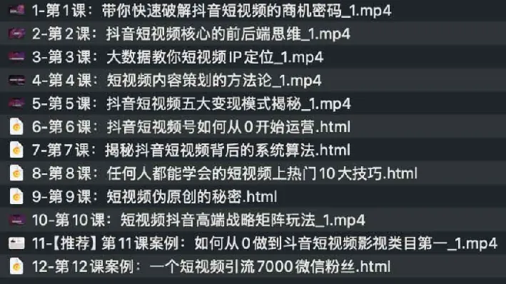 抖音短视频实战课:从0到100万粉丝的完整运营指南