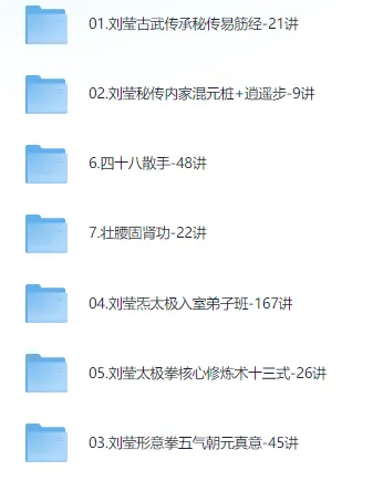 刘莹太极拳视频课程合集:从入门到精深的完整修炼体系