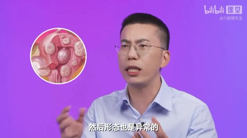 女性健康通识课：六层楼先生带你系统掌握生理与心理知识