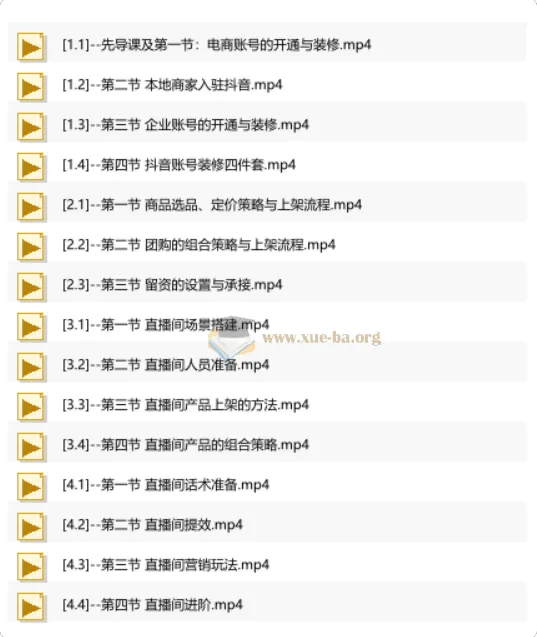 抖音AI直播精英流量特训营：从账号搭建到千川投放，全域流量变现实战全课