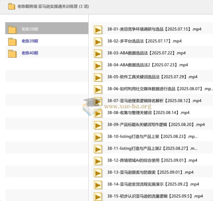 老陈聊跨境·亚马逊实操通关训练营（38-40期合集）