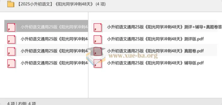 2025小升初语文冲刺必备:《阳光同学冲刺48天》全套资料