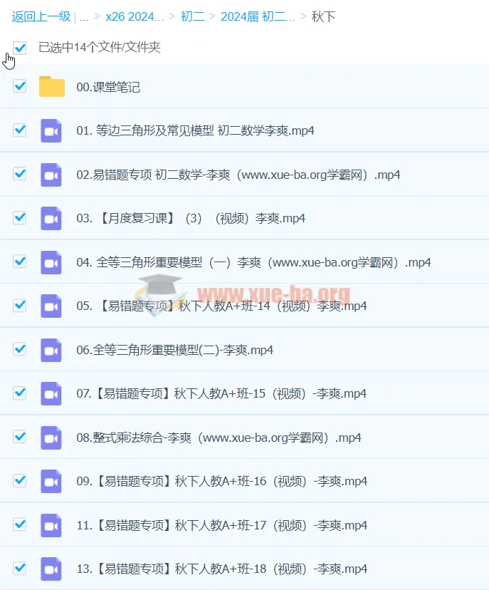 2024初二数学李爽秋季班下(人教版A+班)课程资源