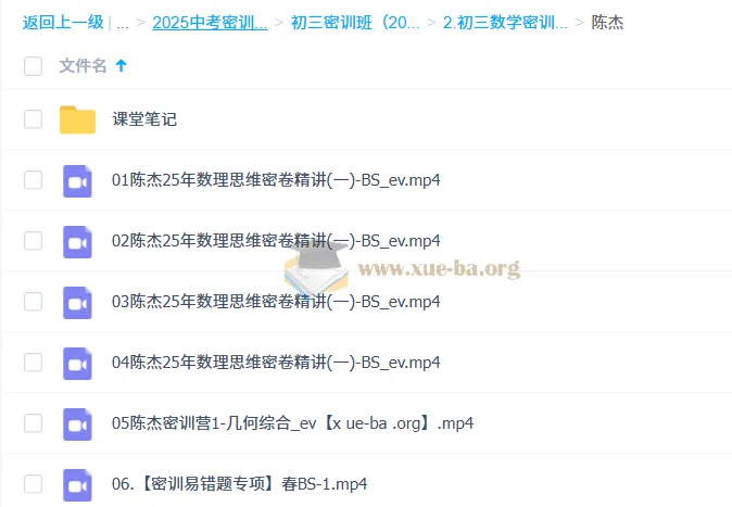 陈杰2025初三数学中考密训班精讲课程