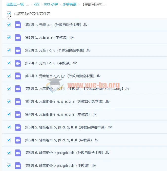 韩淑娇自然拼读1级直播班 6讲全攻略